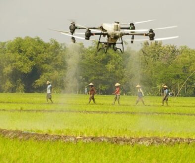 Antusias Petani Saat Uji Coba Drone Semprot Pupuk di Bojonegoro