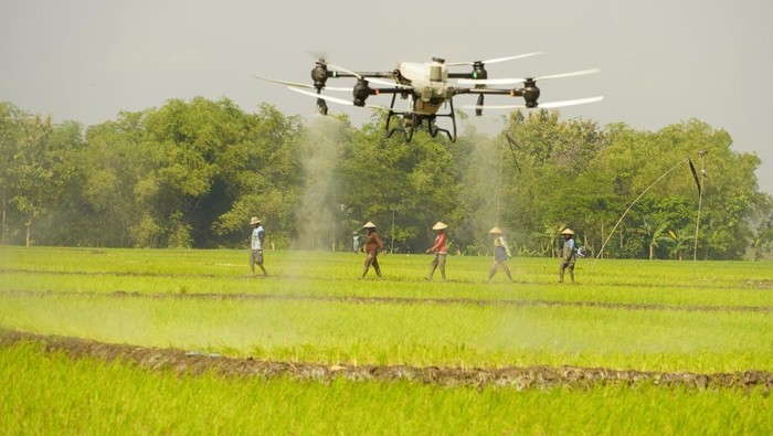 Antusias Petani Saat Uji Coba Drone Semprot Pupuk di Bojonegoro