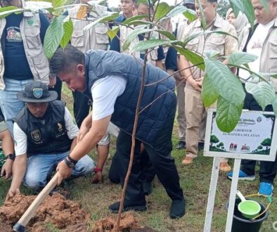 Hutan Sumsel Susut, Herman Deru Ajak Tanam Pohon-Jangan Ekspor Asap