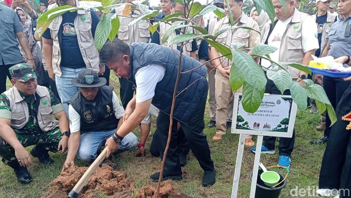 Hutan Sumsel Susut, Herman Deru Ajak Tanam Pohon-Jangan Ekspor Asap