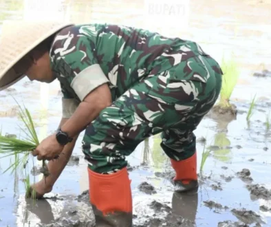 Pangdam - Kerja keras petani fondasi utama jaga ketahanan pangan