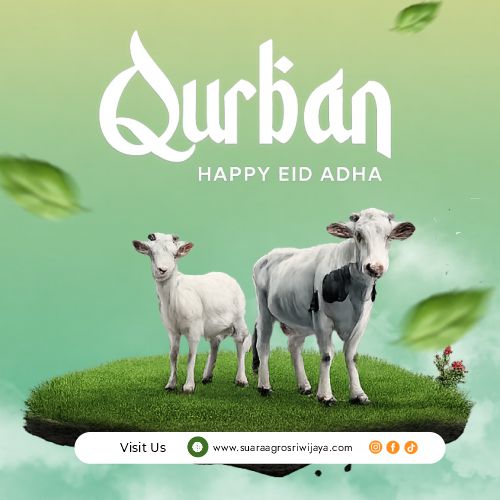 Suara Agro Sriwijaya bg iklan